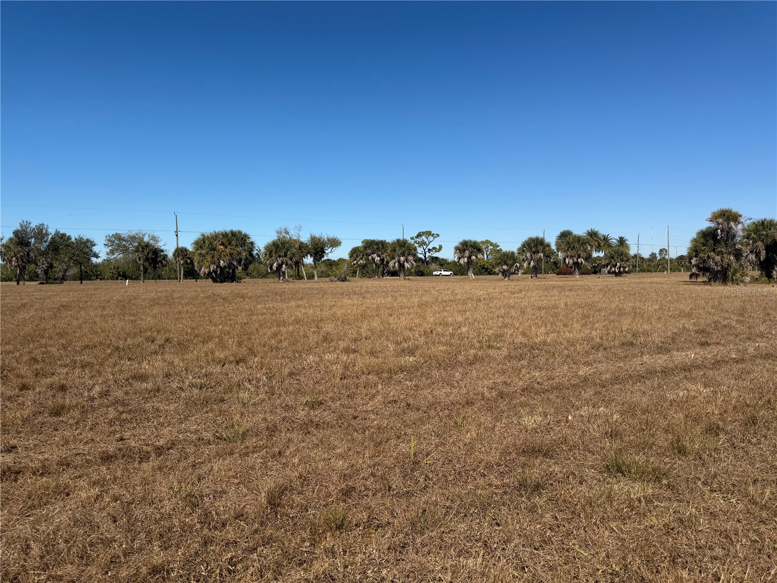 7 & 9 Chickadee Lane Placida FL 33946 A4680321 image2