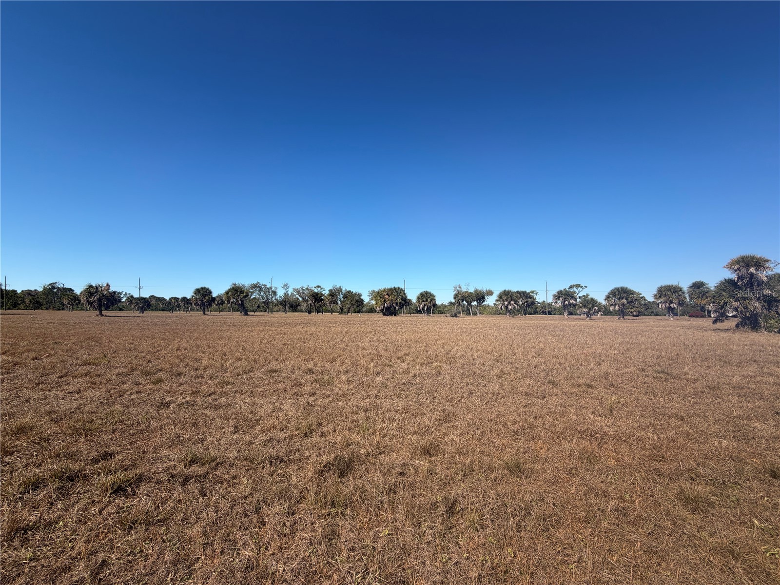 7 & 9 Chickadee Lane Placida FL 33946 A4680321 image3