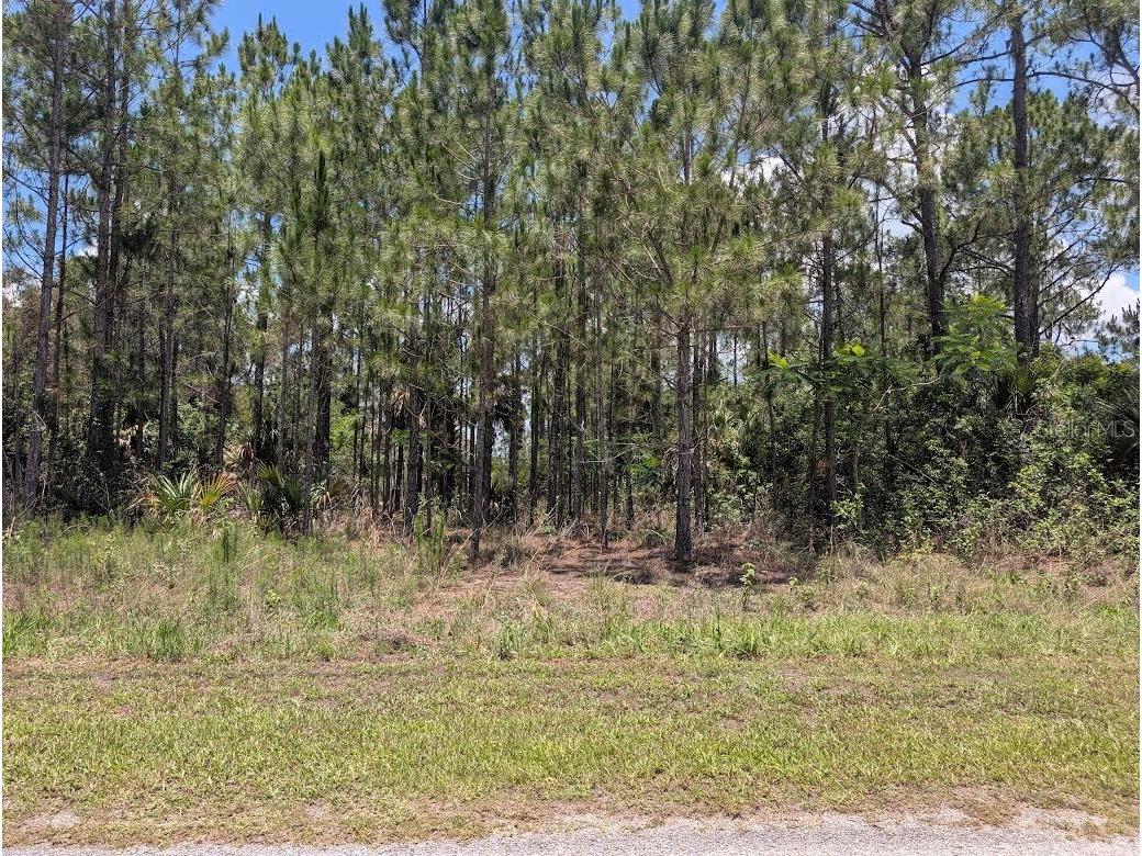 7 Avocado Drive Indian Lake Estates FL 33855 - LAKE WALK-IN-WATER P4939048 image1