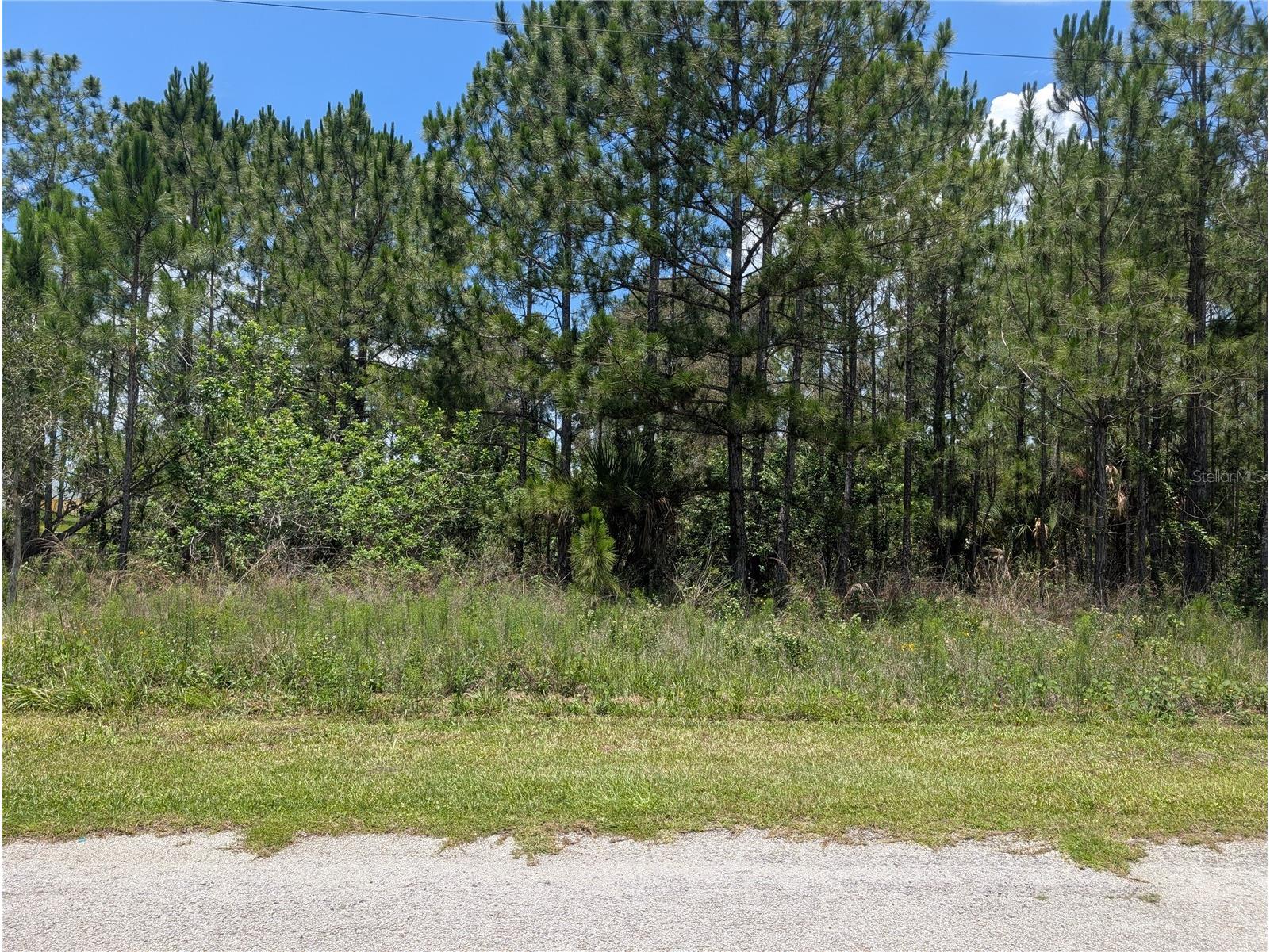 7 Avocado Drive Indian Lake Estates FL 33855 - LAKE WALK-IN-WATER P4939048 image3