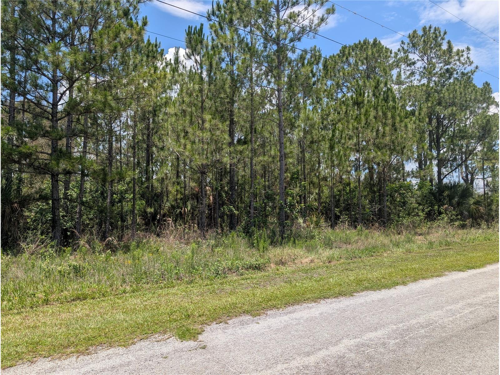 7 Avocado Drive Indian Lake Estates FL 33855 - LAKE WALK-IN-WATER P4939048 image4