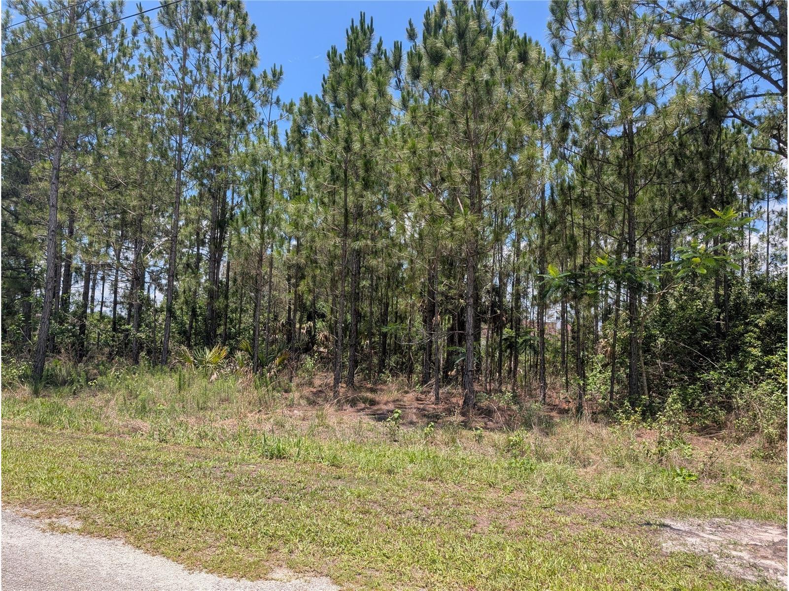 7 Avocado Drive Indian Lake Estates FL 33855 - LAKE WALK-IN-WATER P4939048 image6