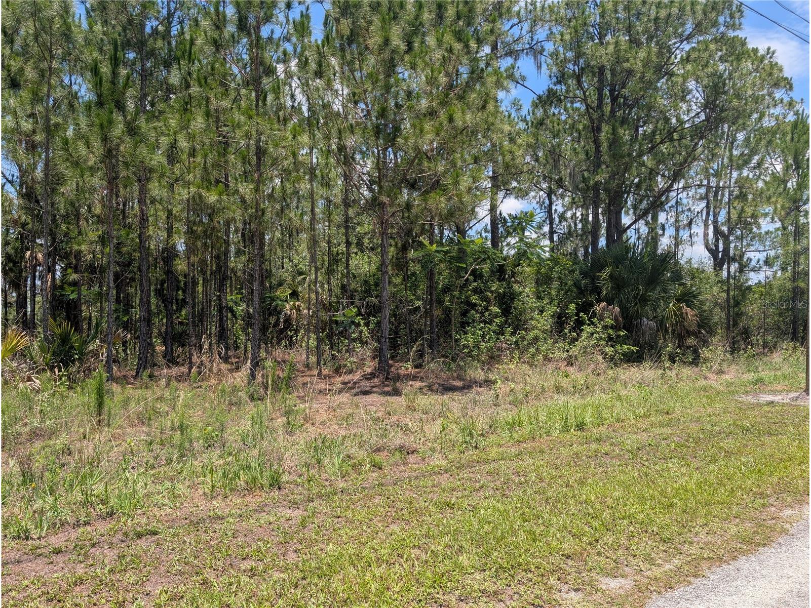 7 Avocado Drive Indian Lake Estates FL 33855 - LAKE WALK-IN-WATER P4939048 image7