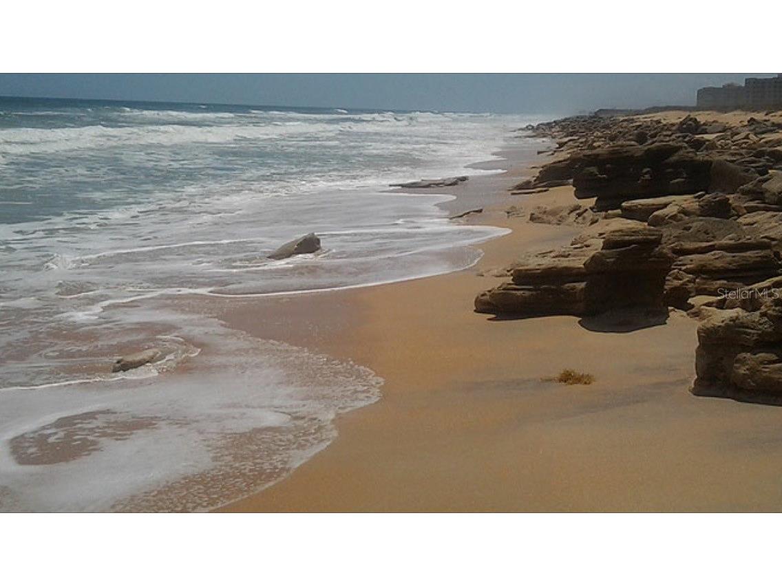 7 Beach Haven Parkway Palm Coast FL 32137 - ATLANTIC OCEAN FC303033 image96