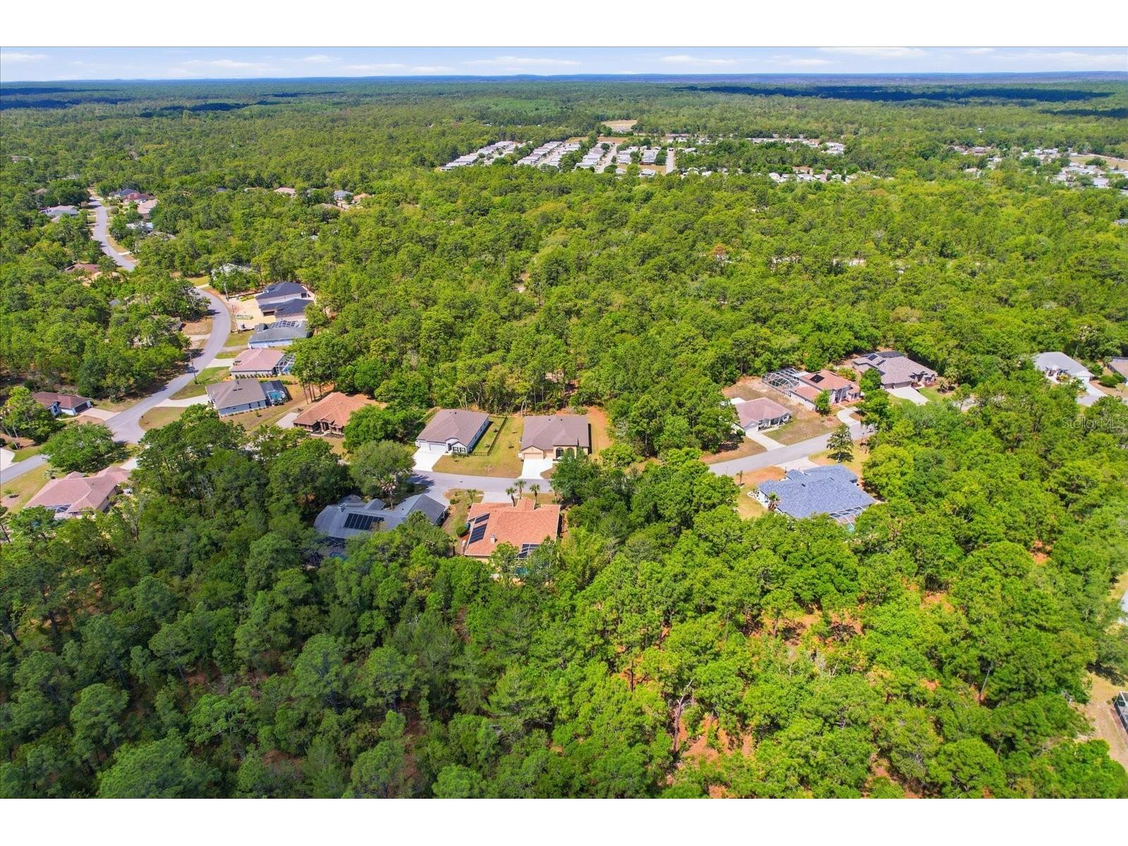 7 Bells Of Ireland Court Homosassa FL 34446 OM723928 image44