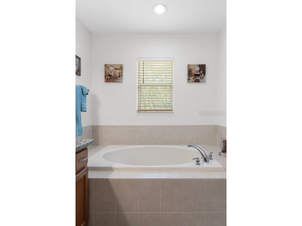 7 Bigleaf Court Homosassa FL 34446 TB8447297 image38