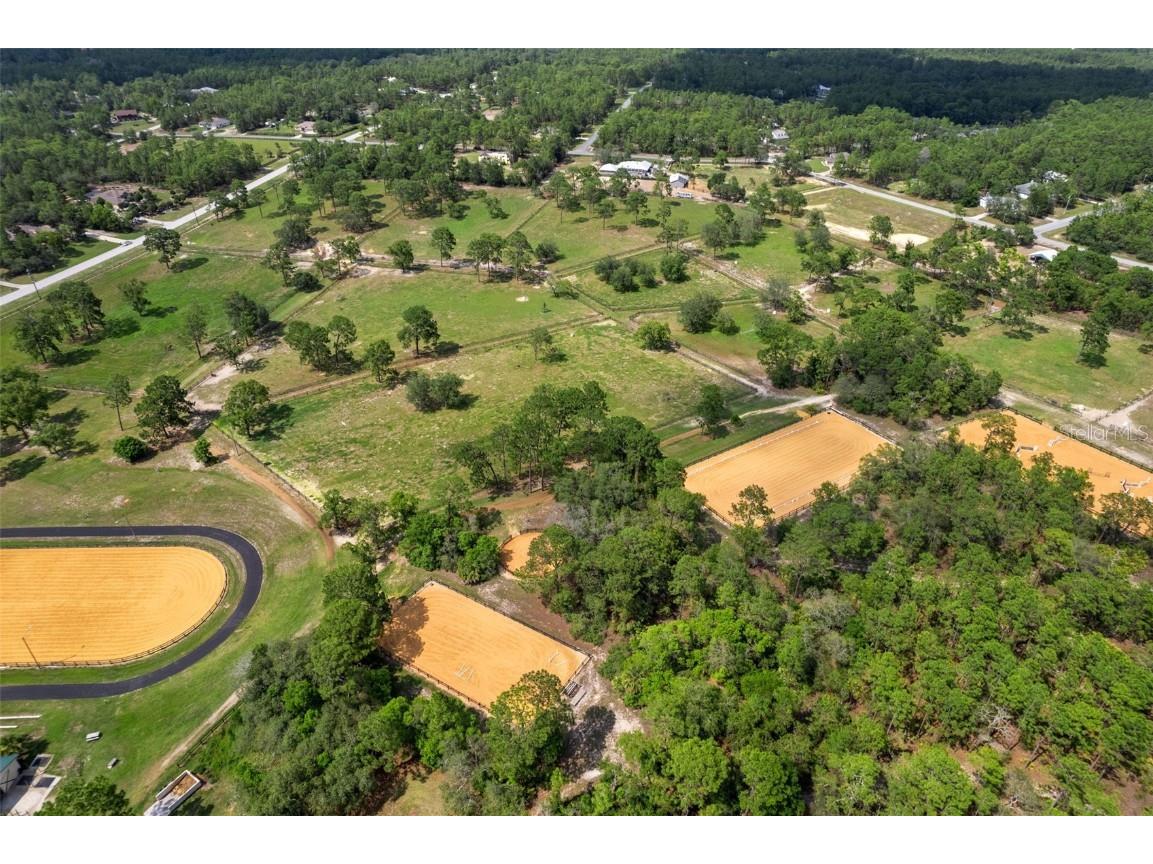 7 Bigleaf Court Homosassa FL 34446 TB8447297 image64