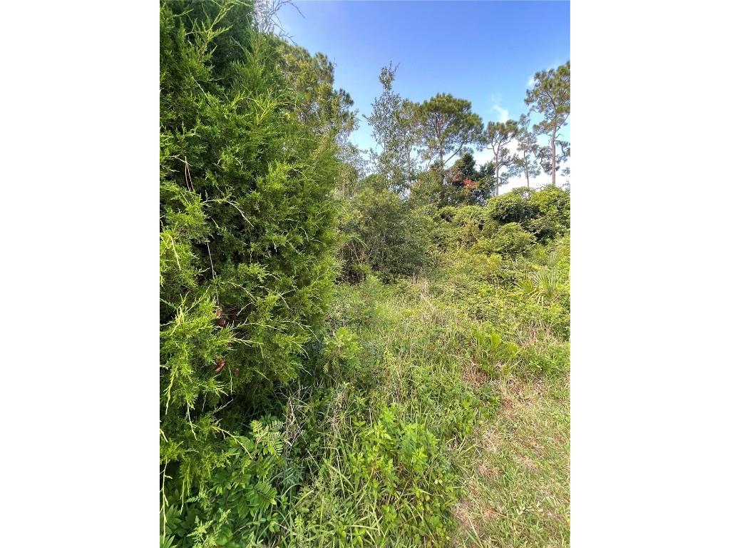 7 Birchfield Place Palm Coast FL 32137 FC311173 image3