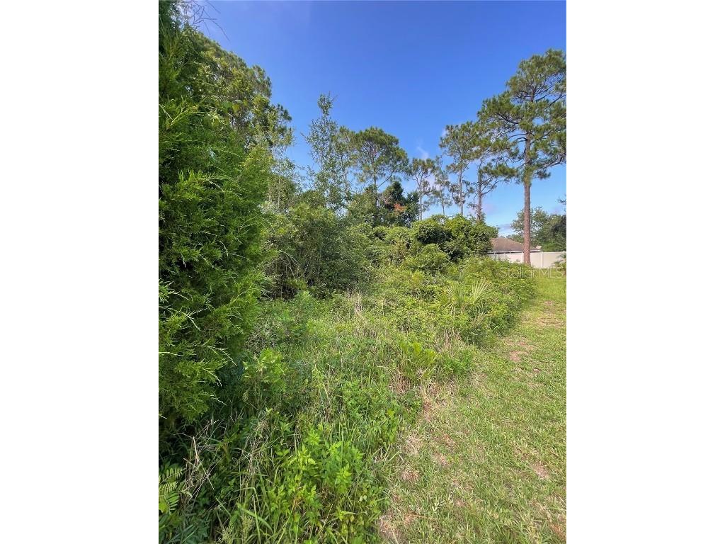 7 Birchfield Place Palm Coast FL 32137 FC311173 image4