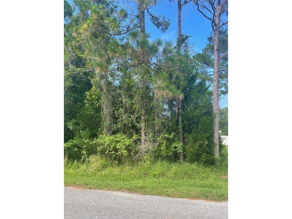 7 Birchfield Place Palm Coast FL 32137 FC311173 image5