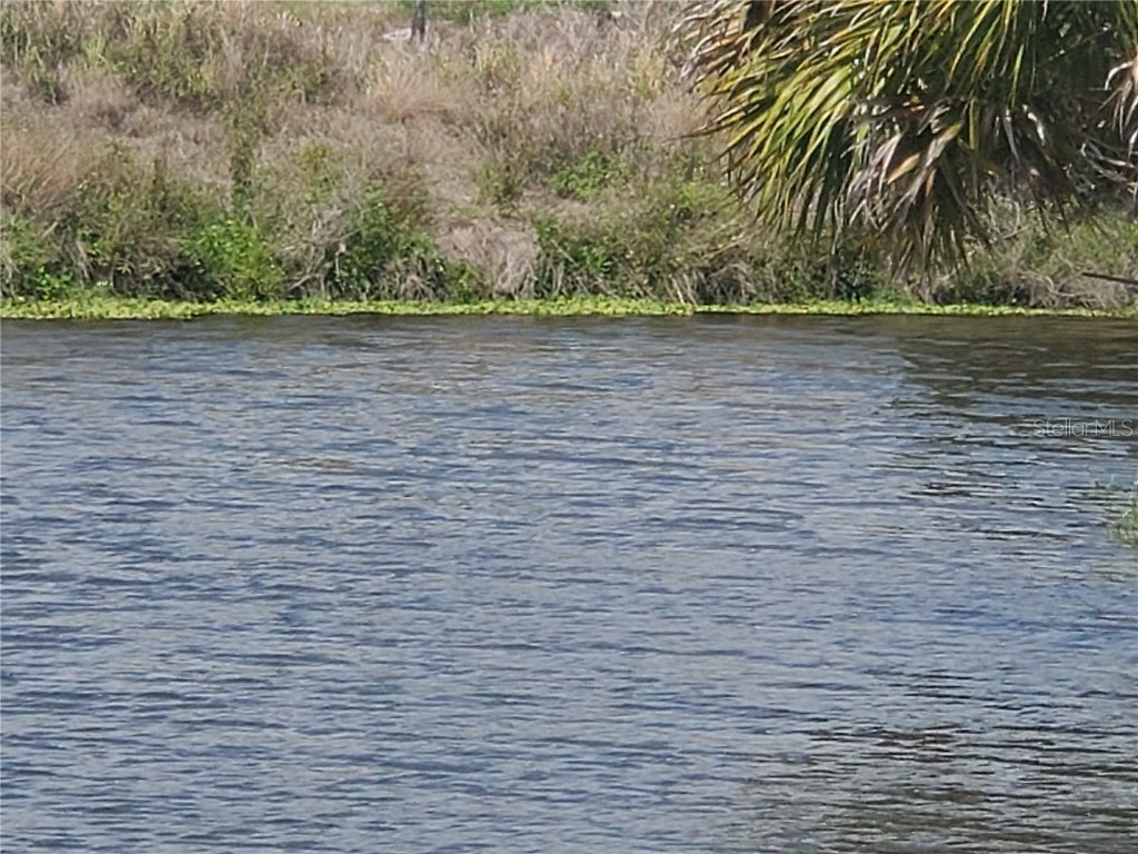 7 Cactus Way Placida FL 33946 D6123815 image1