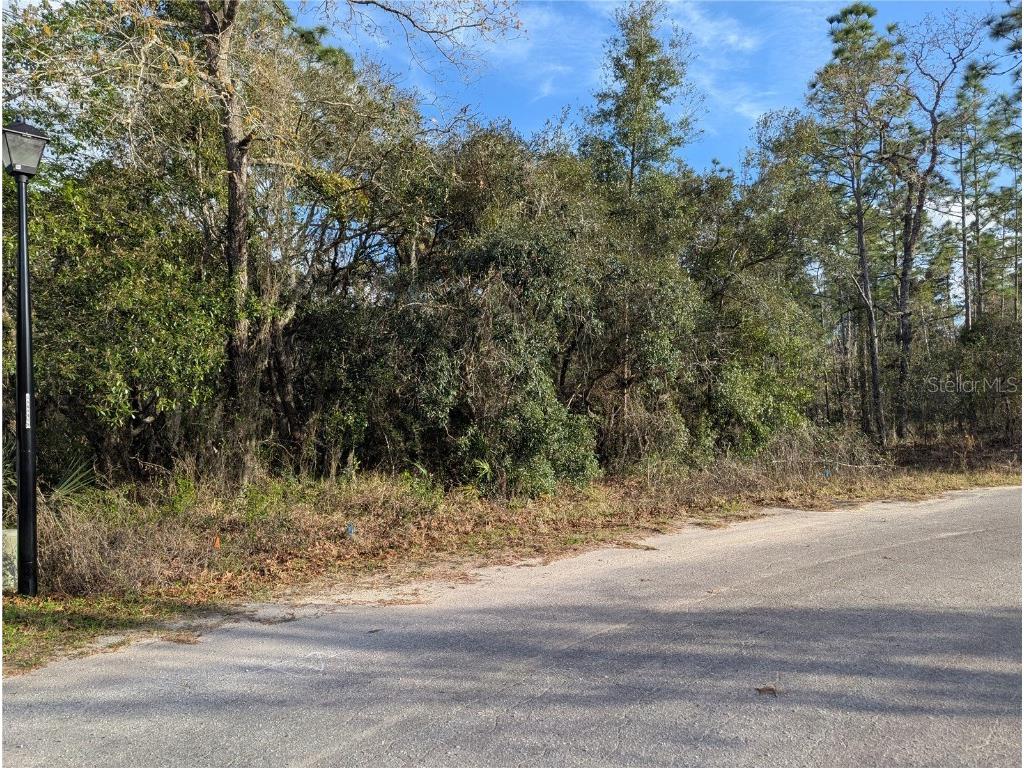 7 Coconut Court Homosassa FL 34446 TB8356163 image1