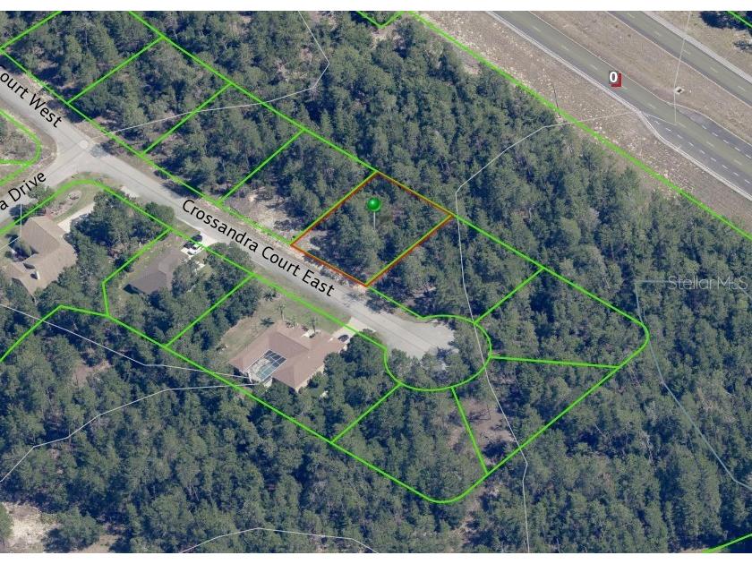 7 Crossandra Court E Homosassa FL 34446 OM700390 image3