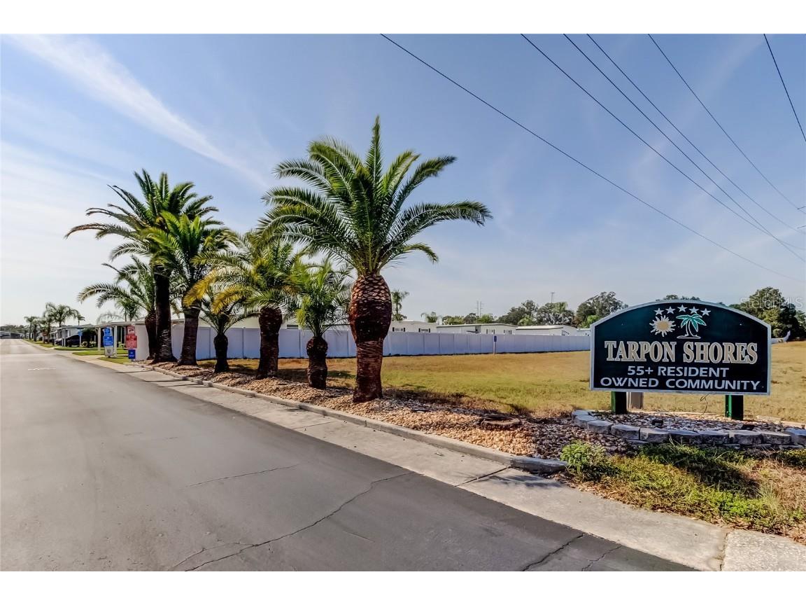 7 Drury Lane Tarpon Springs FL 34689 TB8451969 image62
