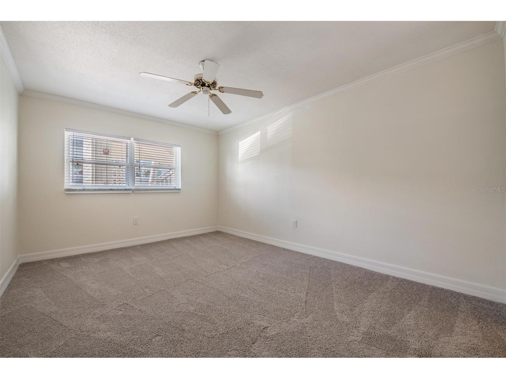 7 Dunoon Place #102 Dunedin FL 34698 - ST. JOSEPH SOUND TB8489430 image35
