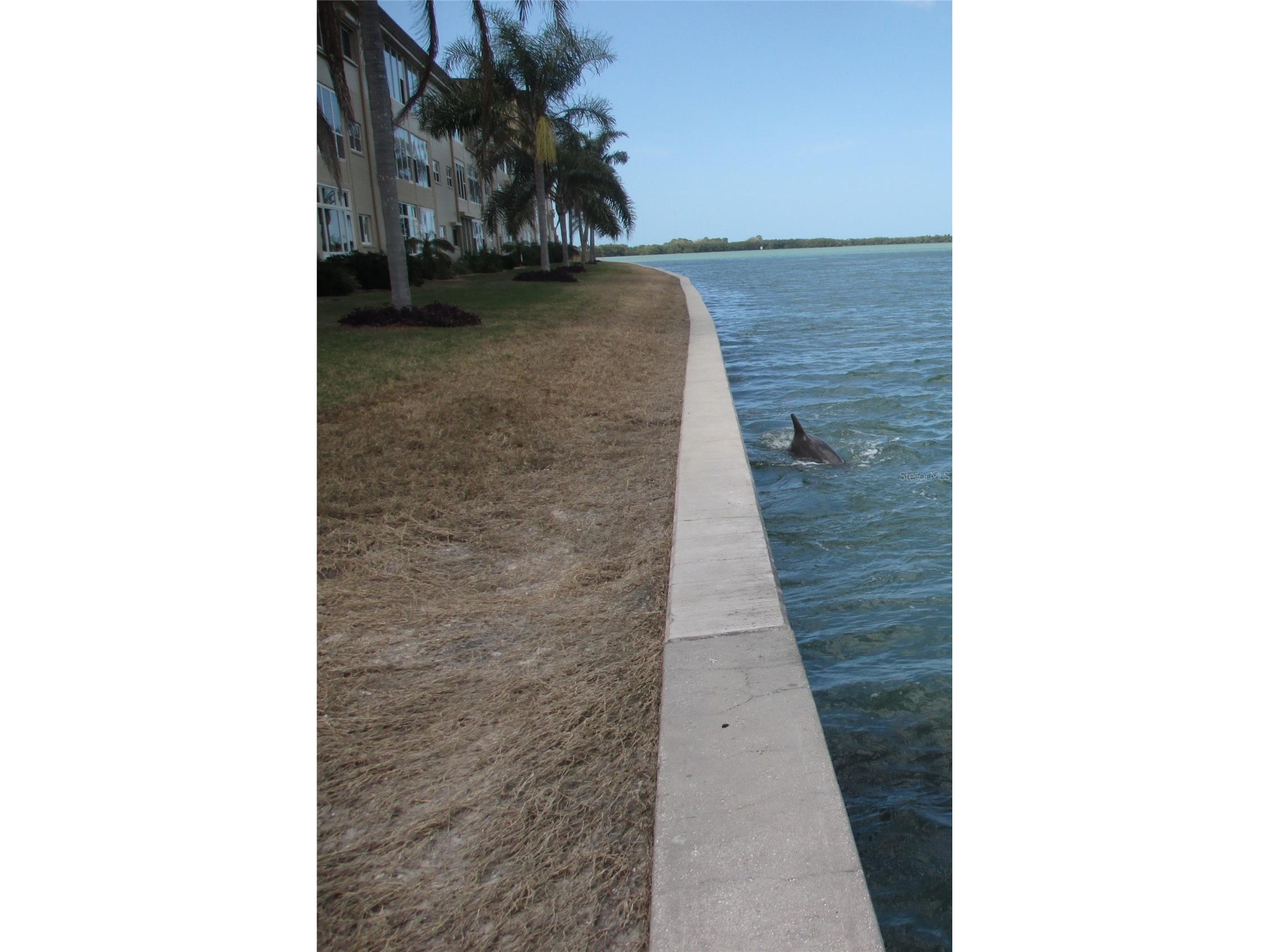 7 Dunoon Place #102 Dunedin FL 34698 - ST. JOSEPH SOUND TB8489430 image53