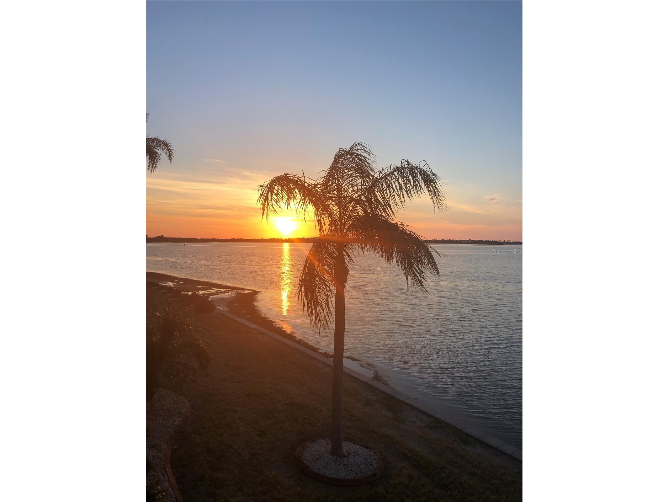 7 Dunoon Place #203 Dunedin FL 34698 W7880069 image2