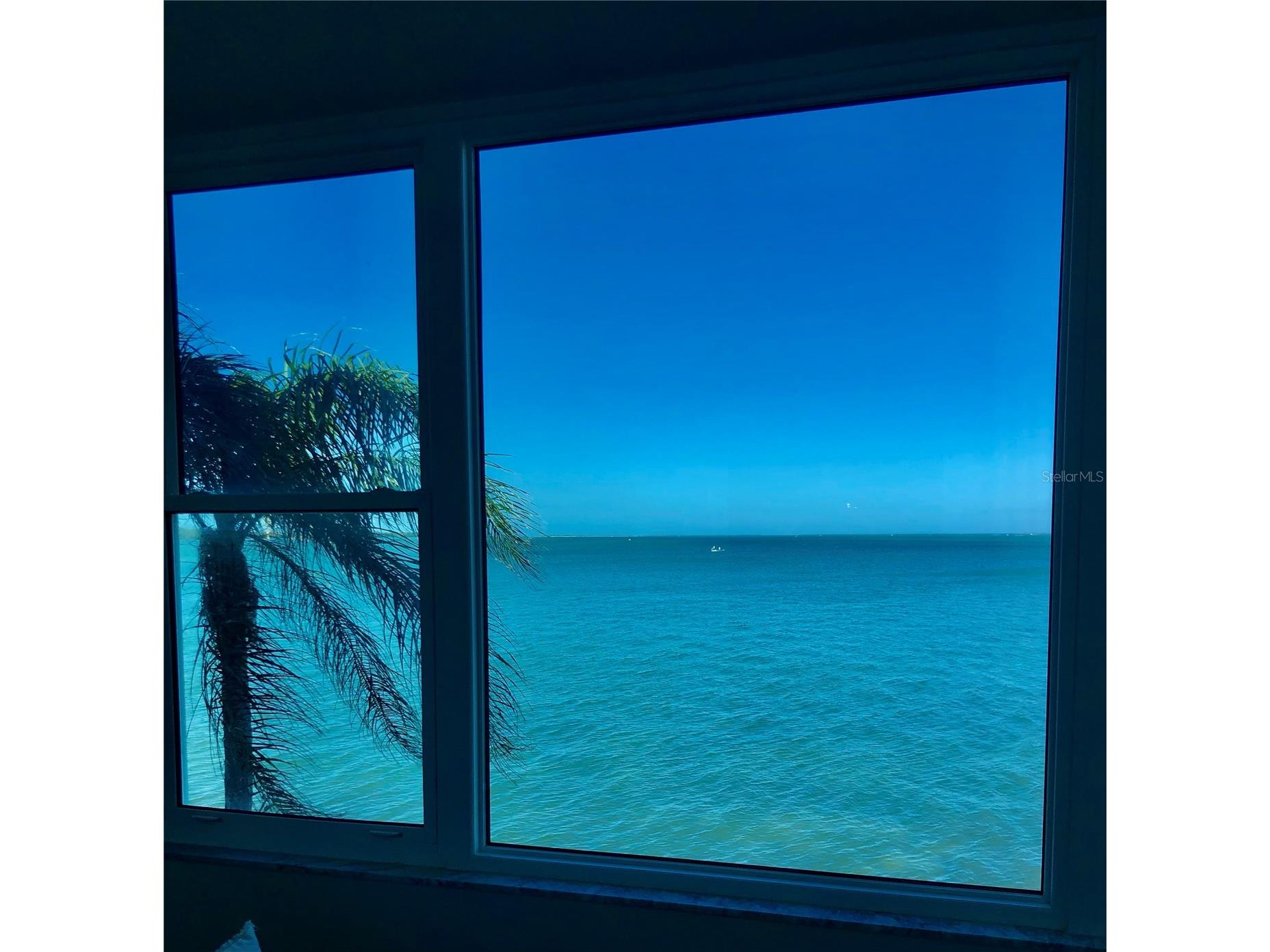 7 Dunoon Place #203 Dunedin FL 34698 W7880069 image24
