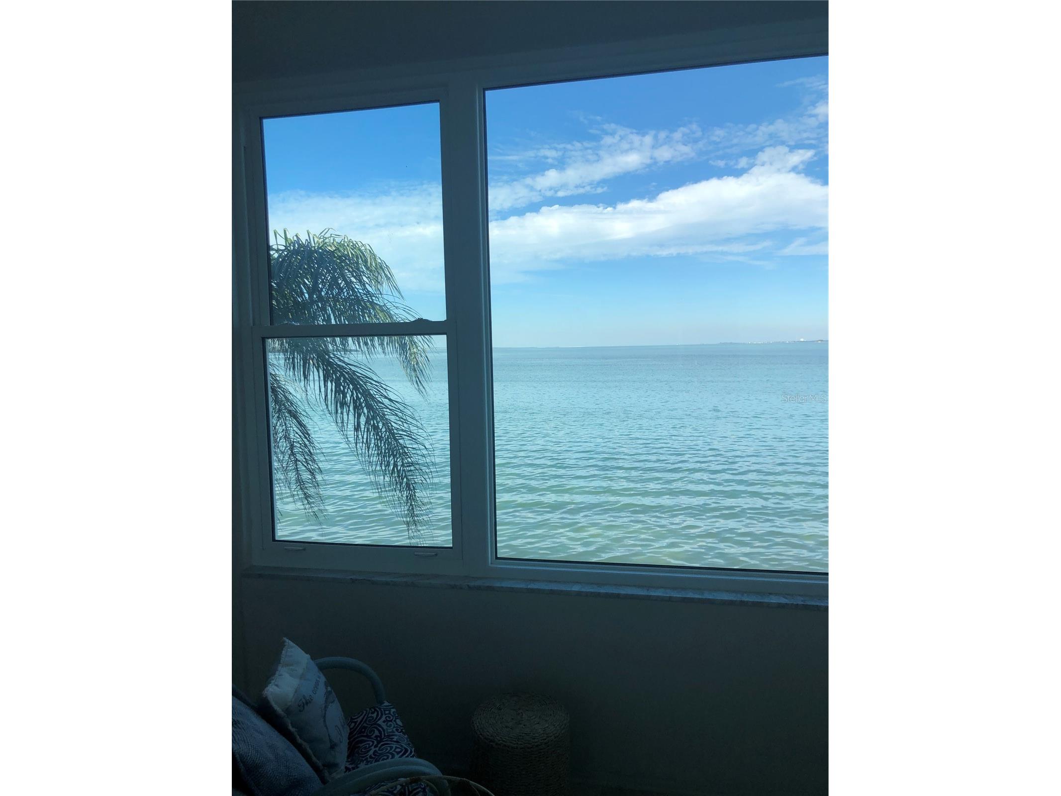 7 Dunoon Place #203 Dunedin FL 34698 W7880069 image6