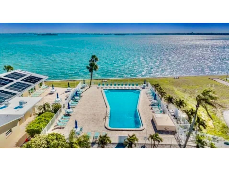 7 Dunoon Place #203 Dunedin FL 34698 W7880069 image7