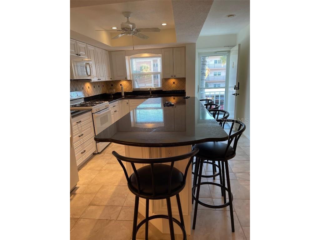 7 Dunoon Place #207 Dunedin FL 34698 T3453423 image1