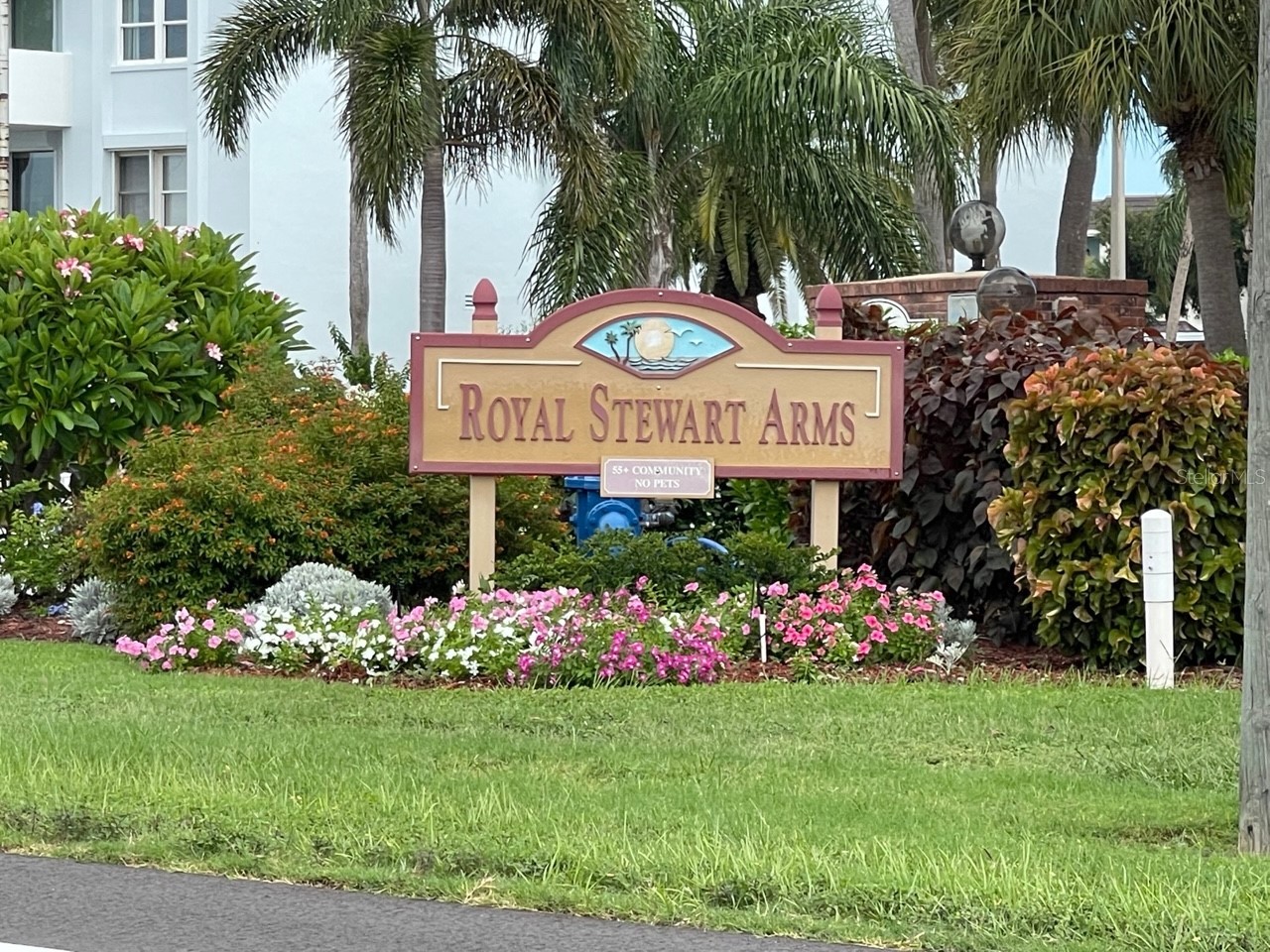 7 Dunoon Place #207 Dunedin FL 34698 - ST. JOSEPH SOUND TB8499473 image1
