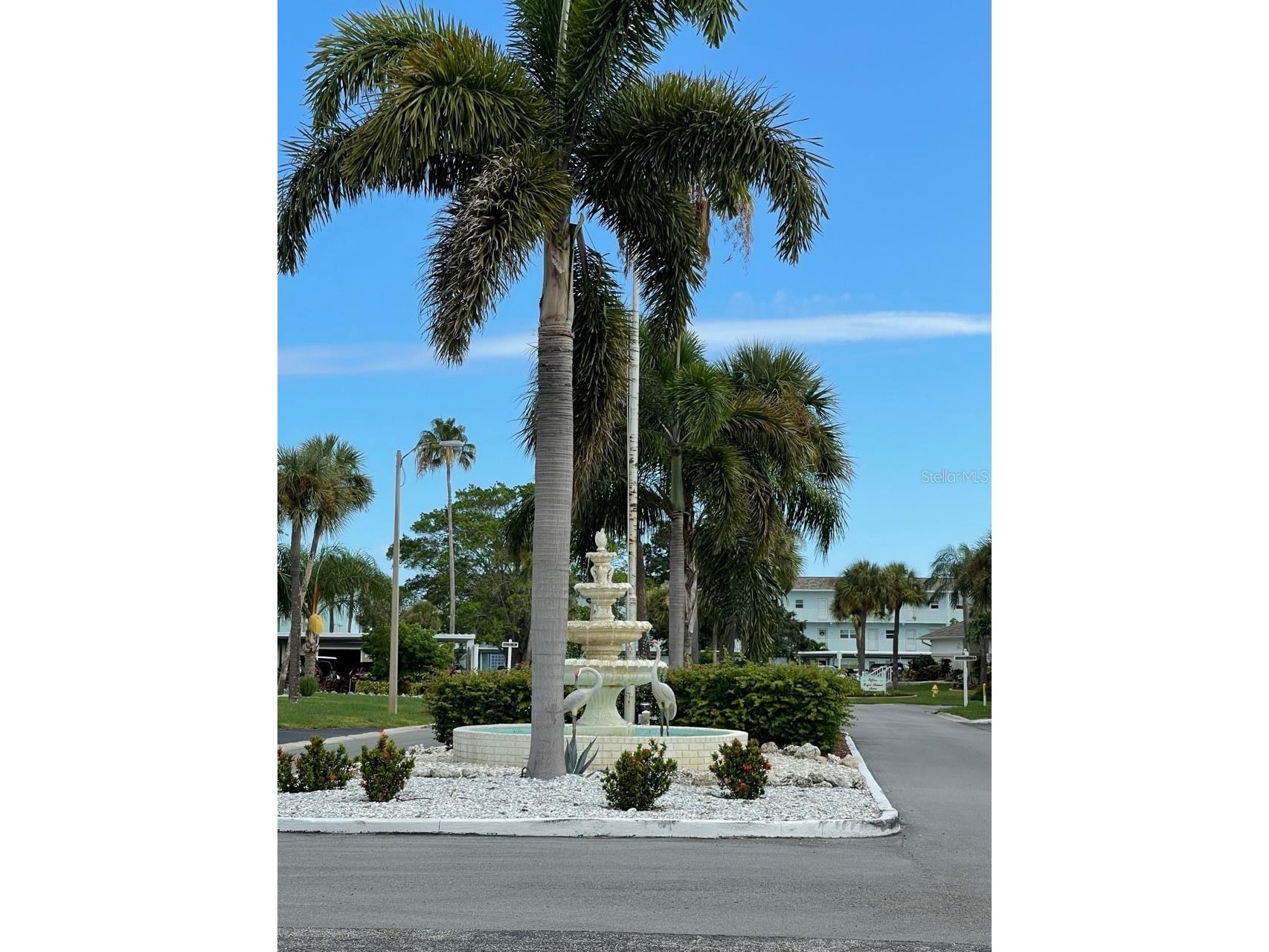 7 Dunoon Place #207 Dunedin FL 34698 - ST. JOSEPH SOUND TB8499473 image34