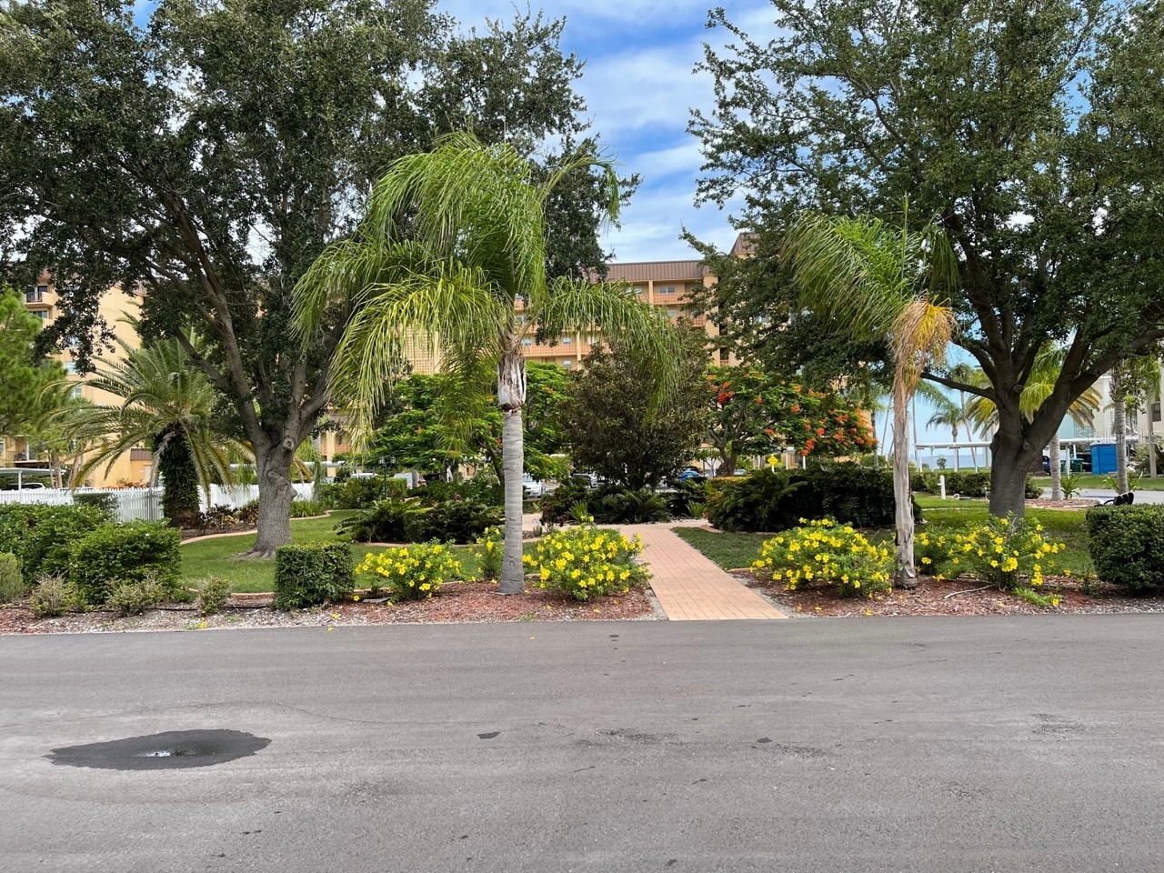 7 Dunoon Place #207 Dunedin FL 34698 - ST. JOSEPH SOUND TB8499473 image51