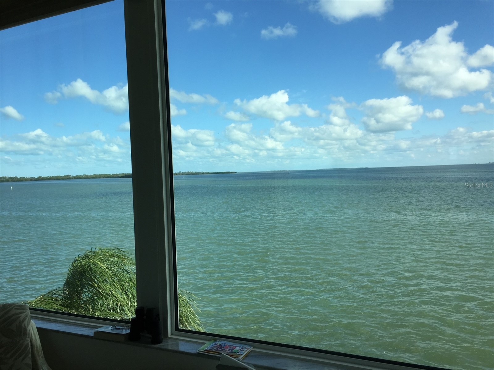 7 Dunoon Place #303 Dunedin FL 34698 - ST. JOSEPH SOUND TB8507029 image3