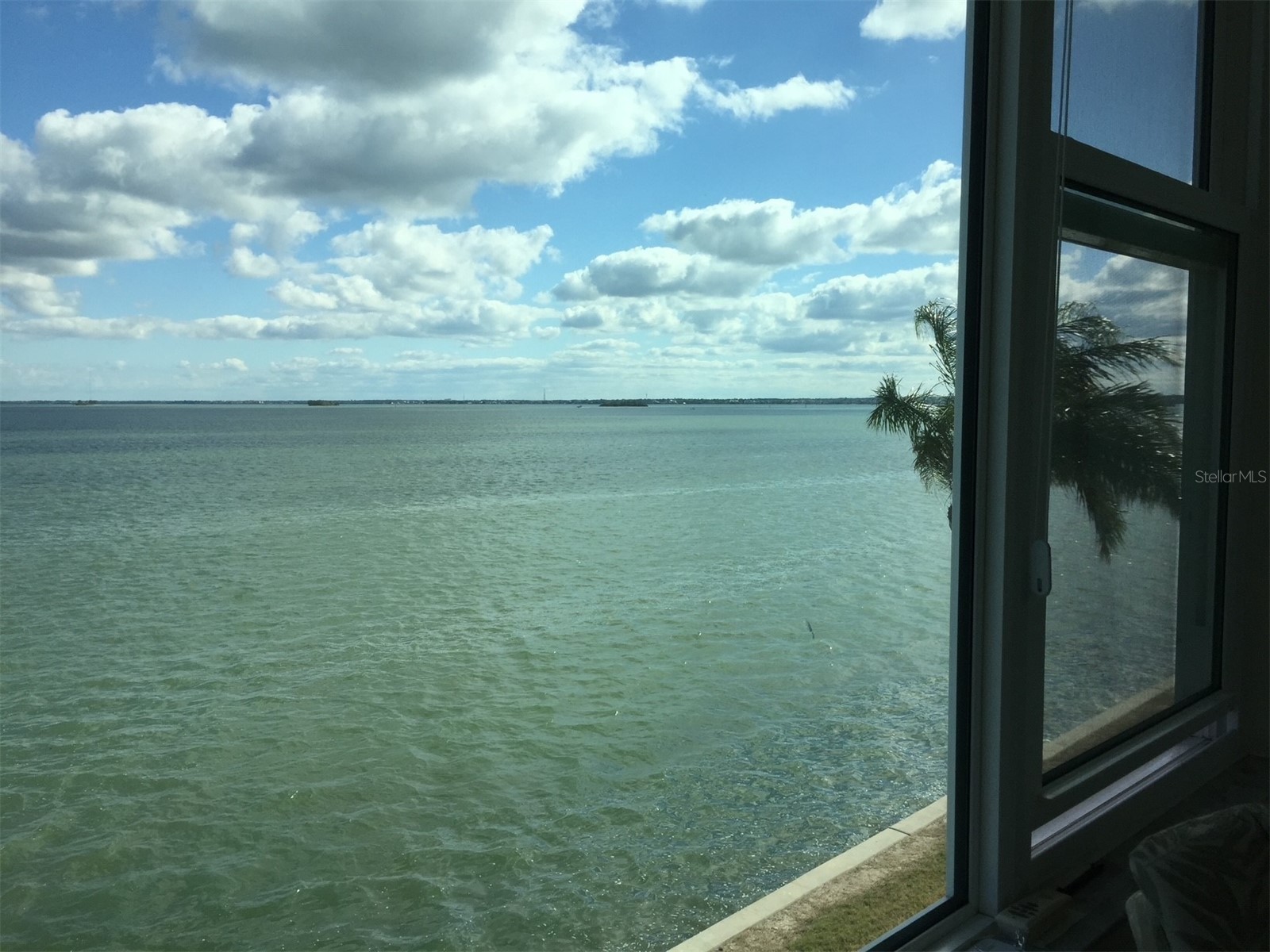 7 Dunoon Place #303 Dunedin FL 34698 - ST. JOSEPH SOUND TB8507029 image4