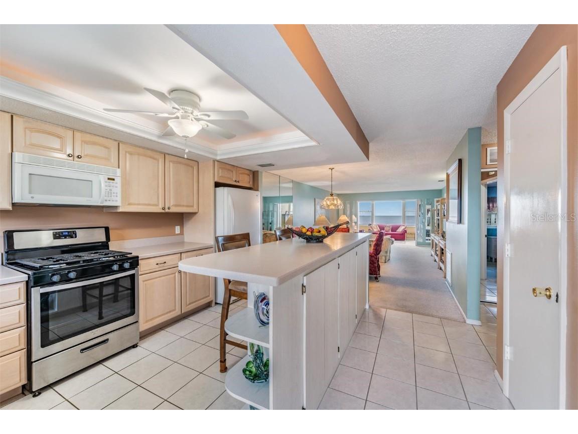 7 Dunoon Place #304 Dunedin FL 34698 - GULF OF MEXICO TB8410948 image28