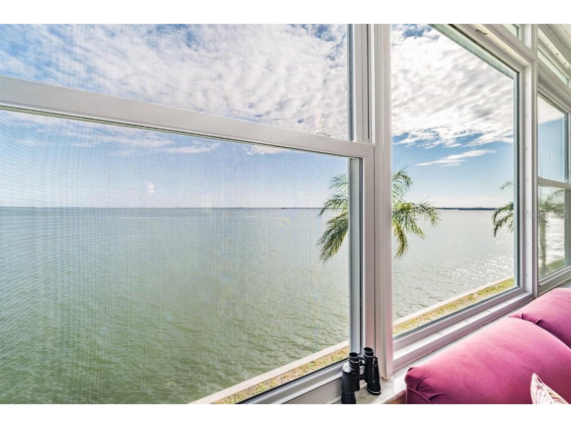 7 Dunoon Place #304 Dunedin FL 34698 - GULF OF MEXICO TB8410948 image44