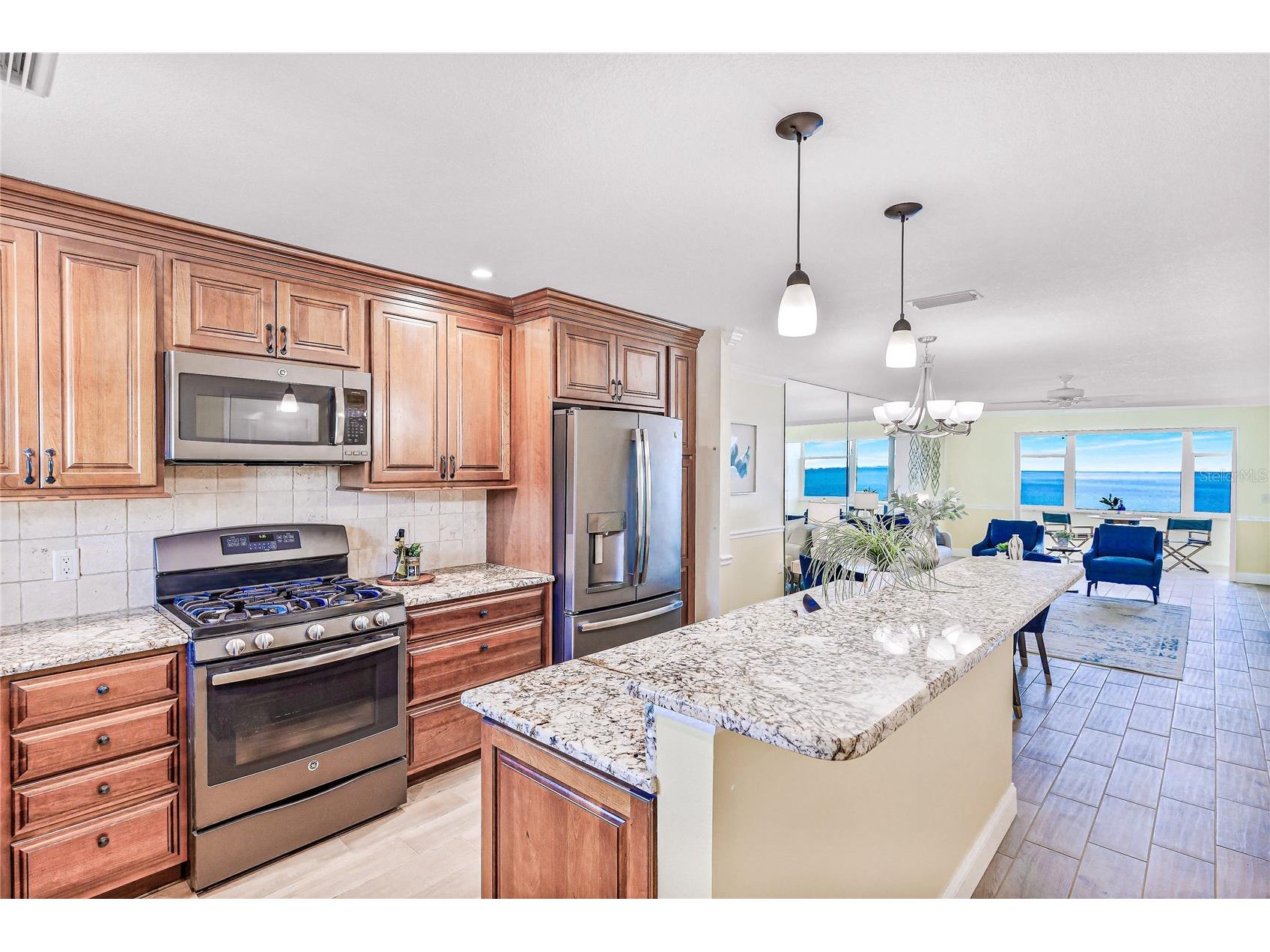 7 Dunoon Place #306 Dunedin FL 34698 TB8409170 image1
