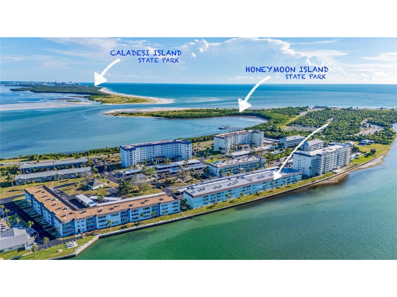 7 Dunoon Place #APT. 306 Dunedin FL 34698 TB8409170 image3