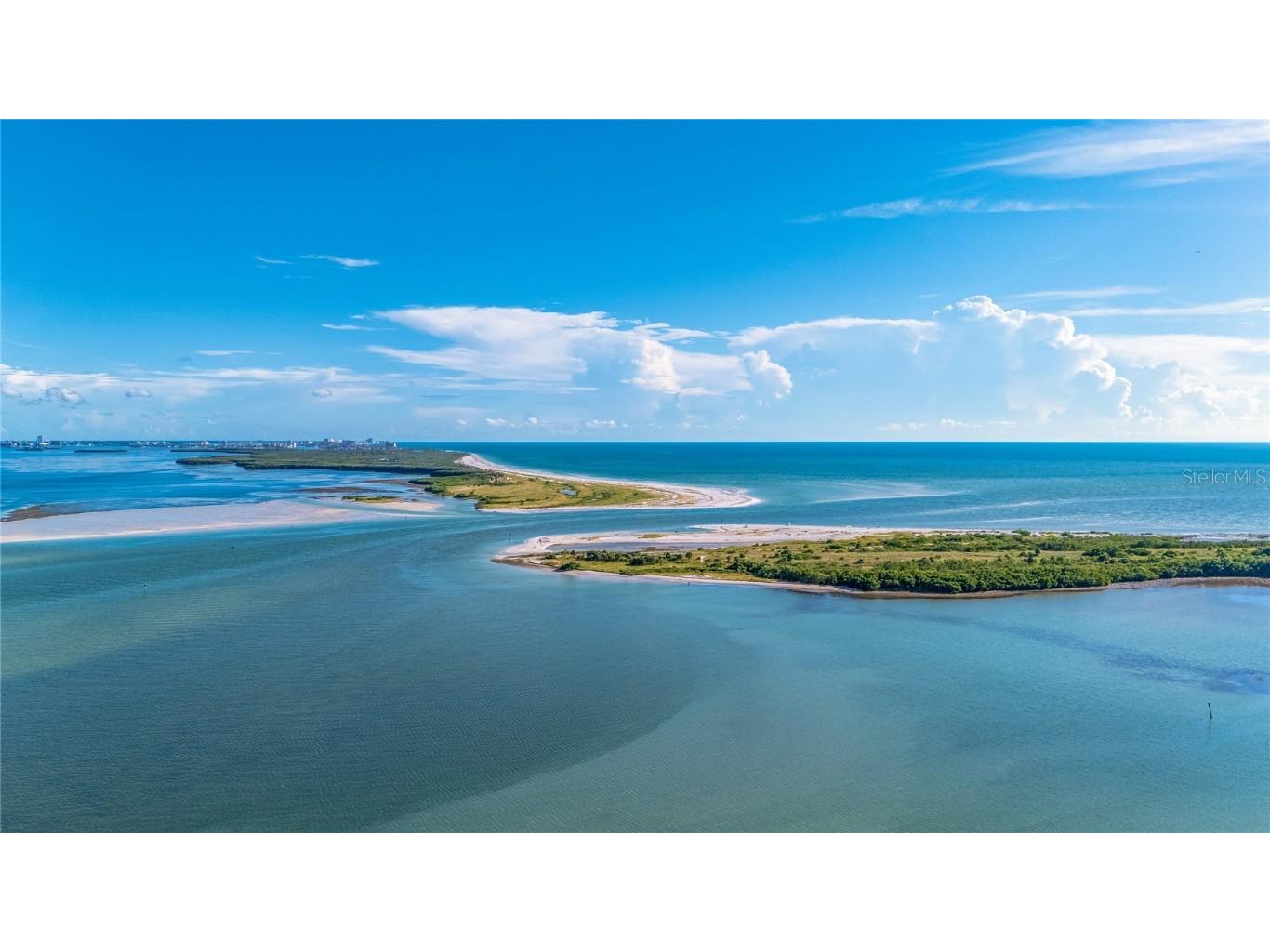 7 Dunoon Place #APT. 306 Dunedin FL 34698 TB8409170 image4