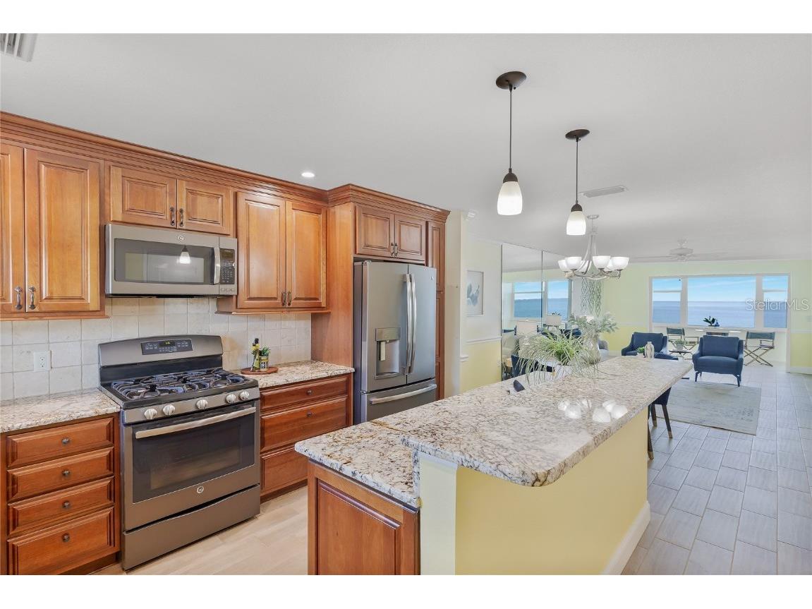 7 Dunoon Place #APT. 306 Dunedin FL 34698 TB8409170 image6