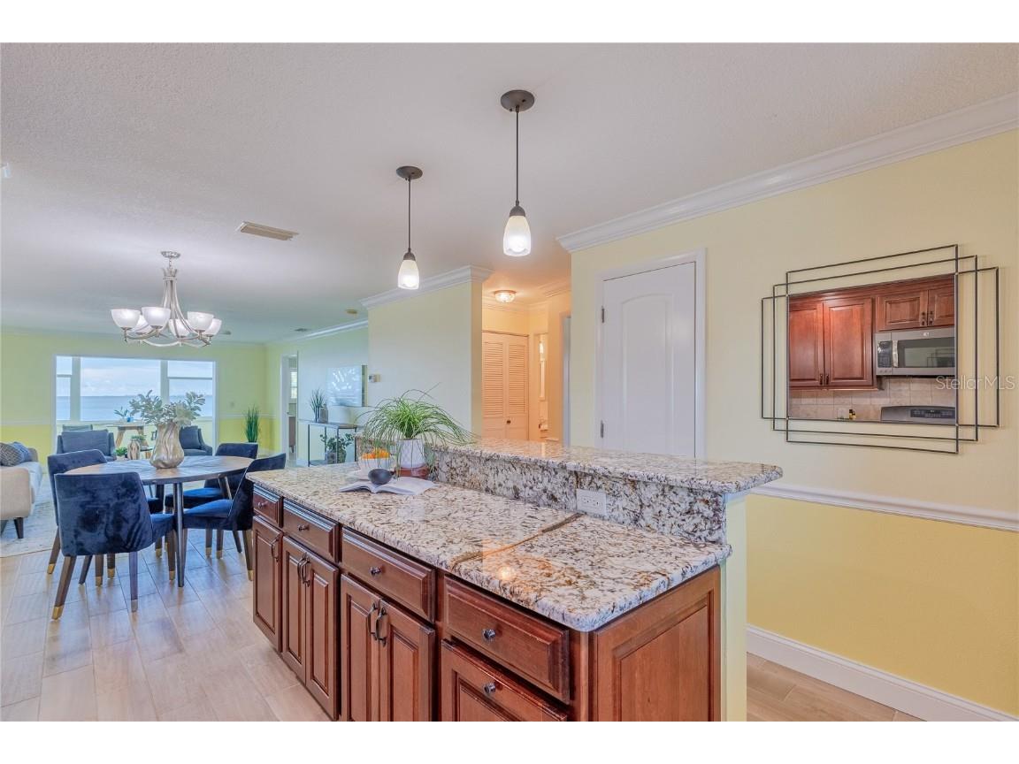 7 Dunoon Place #APT. 306 Dunedin FL 34698 TB8409170 image9