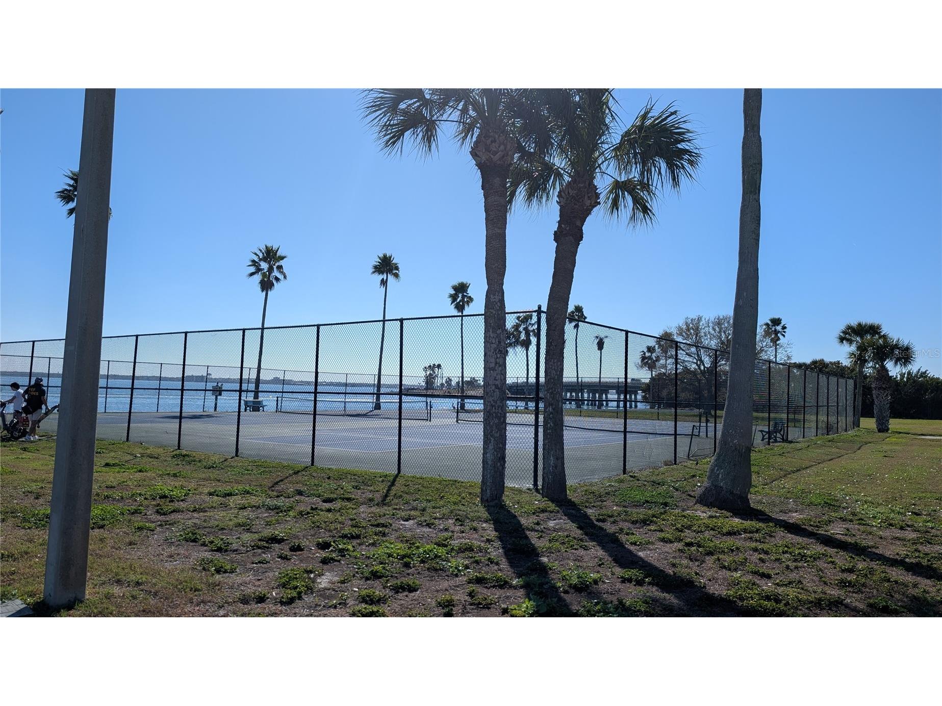 7 Dunoon Place #UNIT 104 Dunedin FL 34698 - GULF TB8483513 image42