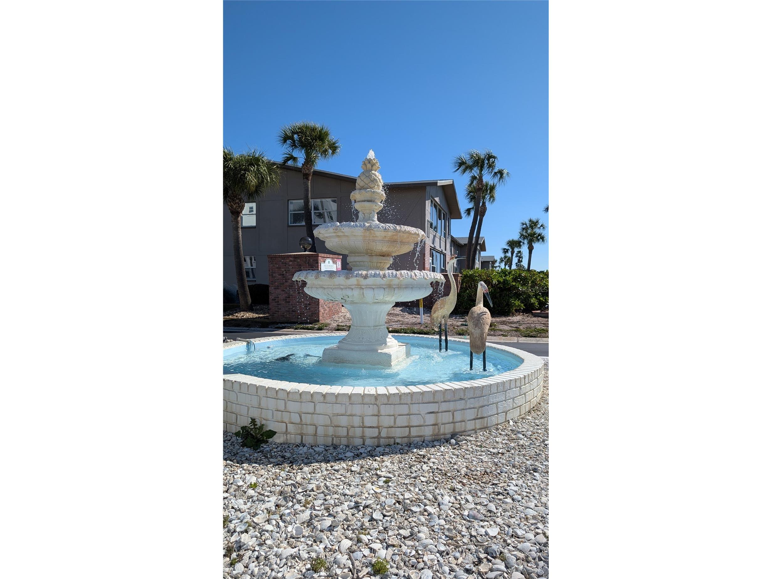 7 Dunoon Place #UNIT 104 Dunedin FL 34698 - GULF TB8483513 image44