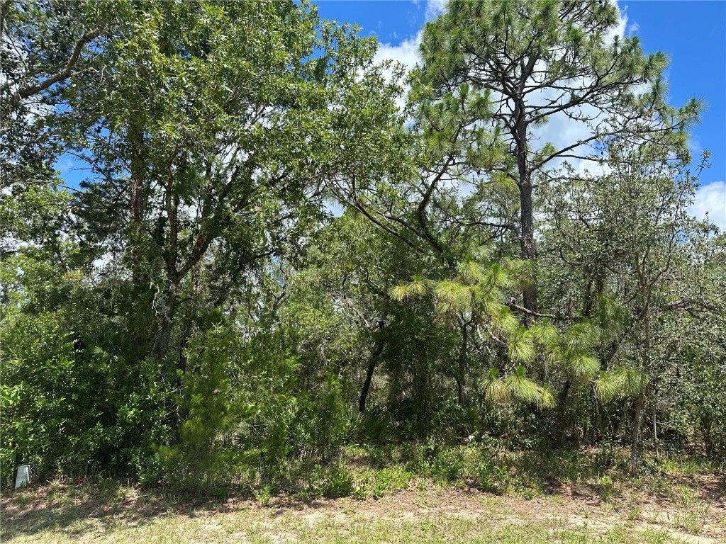 7 Dusty Miller Court Homosassa FL 34446 W7855730 image1