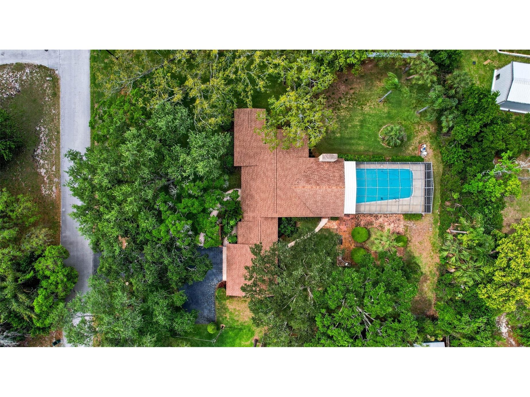7 Eagle Lane Palm Harbor FL 34683 W7884503 image60