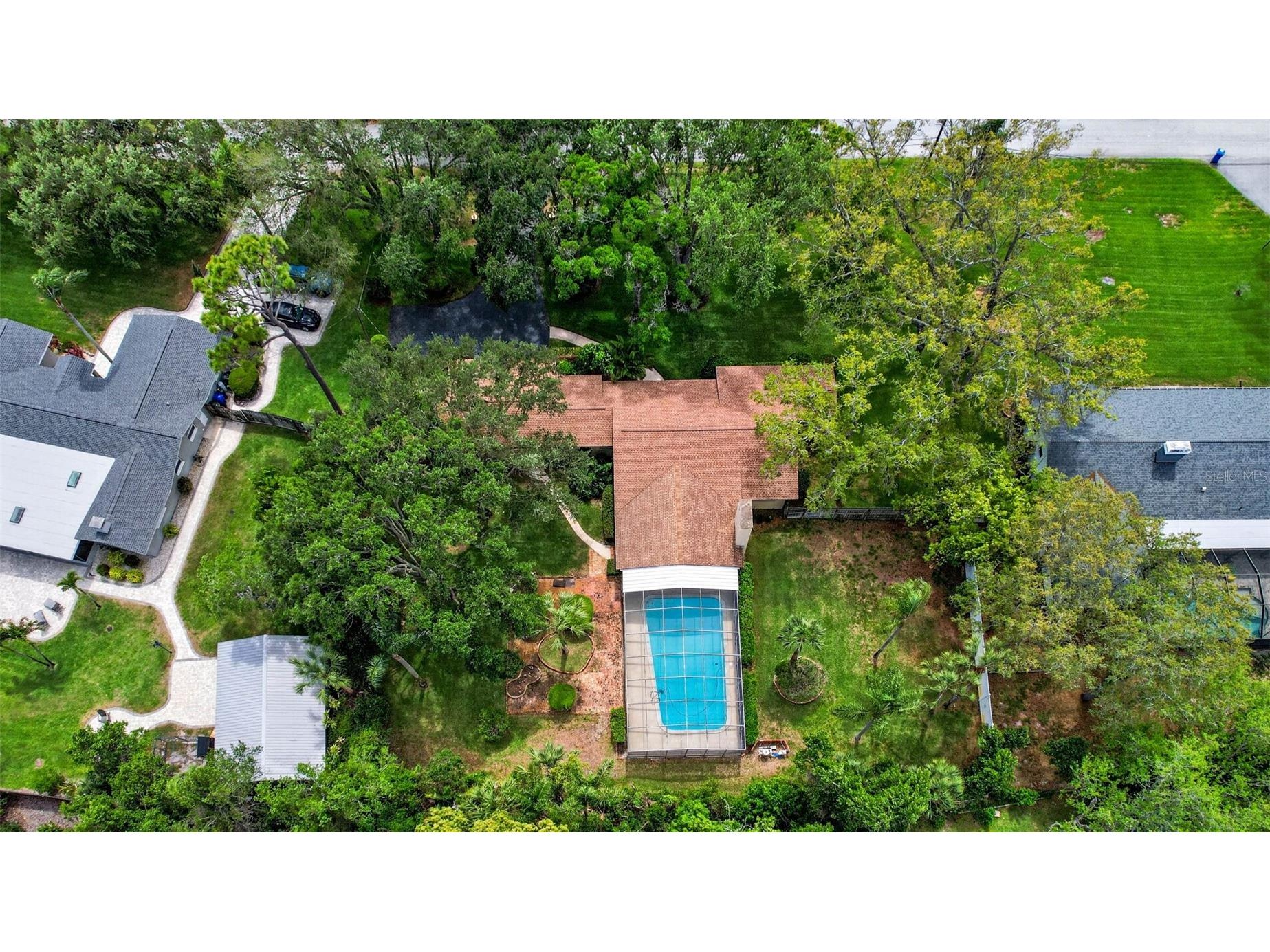 7 Eagle Lane Palm Harbor FL 34683 W7884503 image61