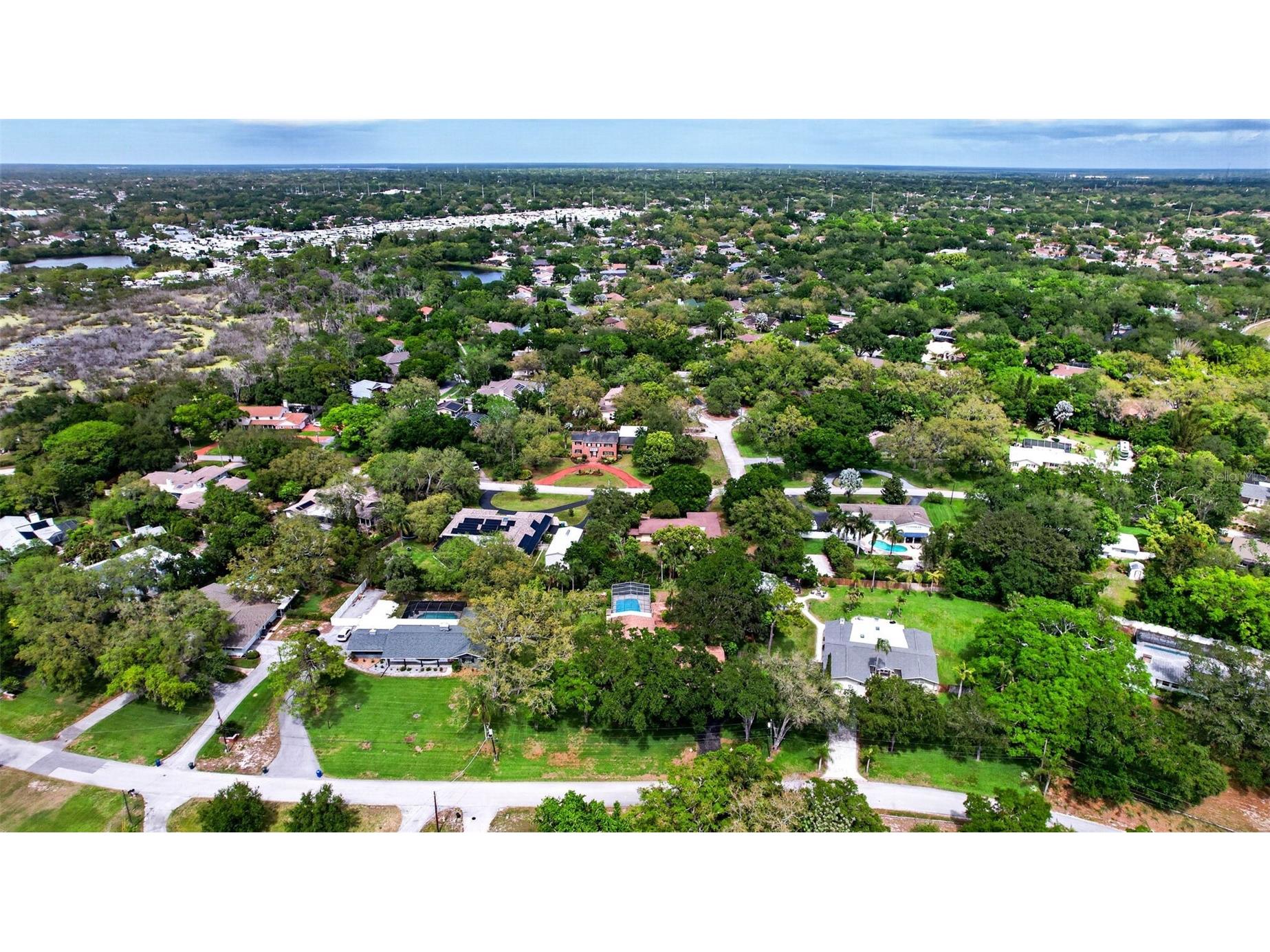 7 Eagle Lane Palm Harbor FL 34683 W7884503 image65