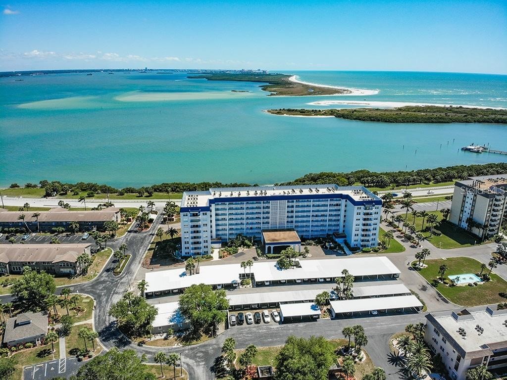 7 Elgin Place #102 Dunedin FL 34698 T3553135 image1