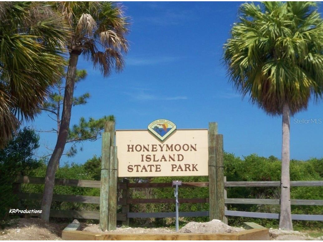 7 Elgin Place #202 Dunedin FL 34698 - ST. JOSEPH SOUND TB8451387 image50