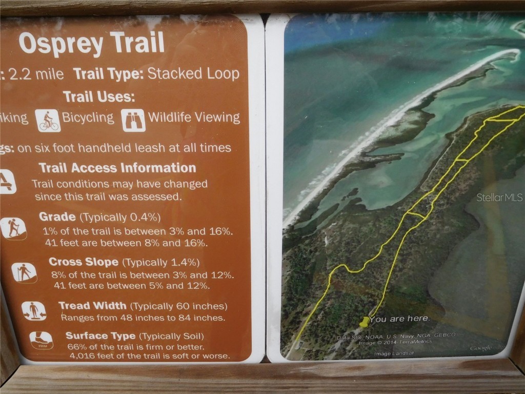 7 Elgin Place #202 Dunedin FL 34698 - ST. JOSEPH SOUND TB8451387 image56