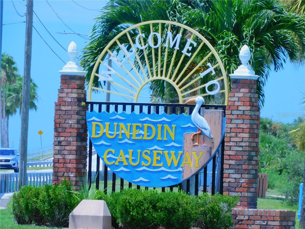 7 Elgin Place #202 Dunedin FL 34698 - ST. JOSEPH SOUND TB8451387 image57