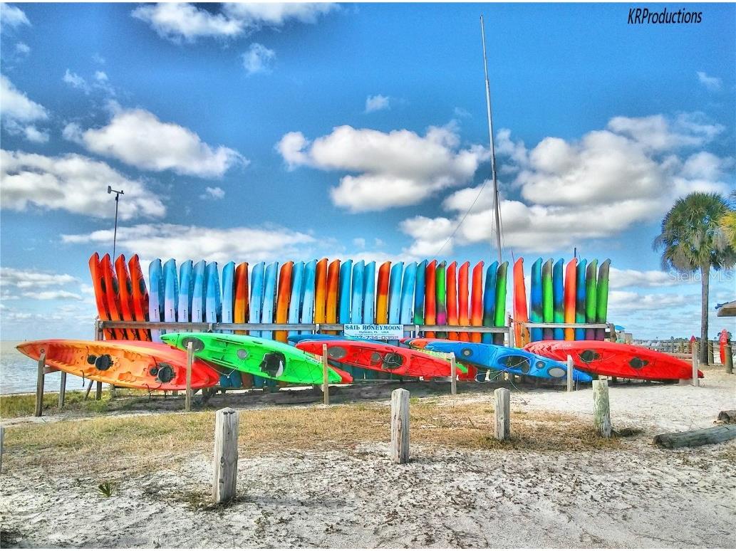 7 Elgin Place #202 Dunedin FL 34698 - ST. JOSEPH SOUND TB8451387 image58