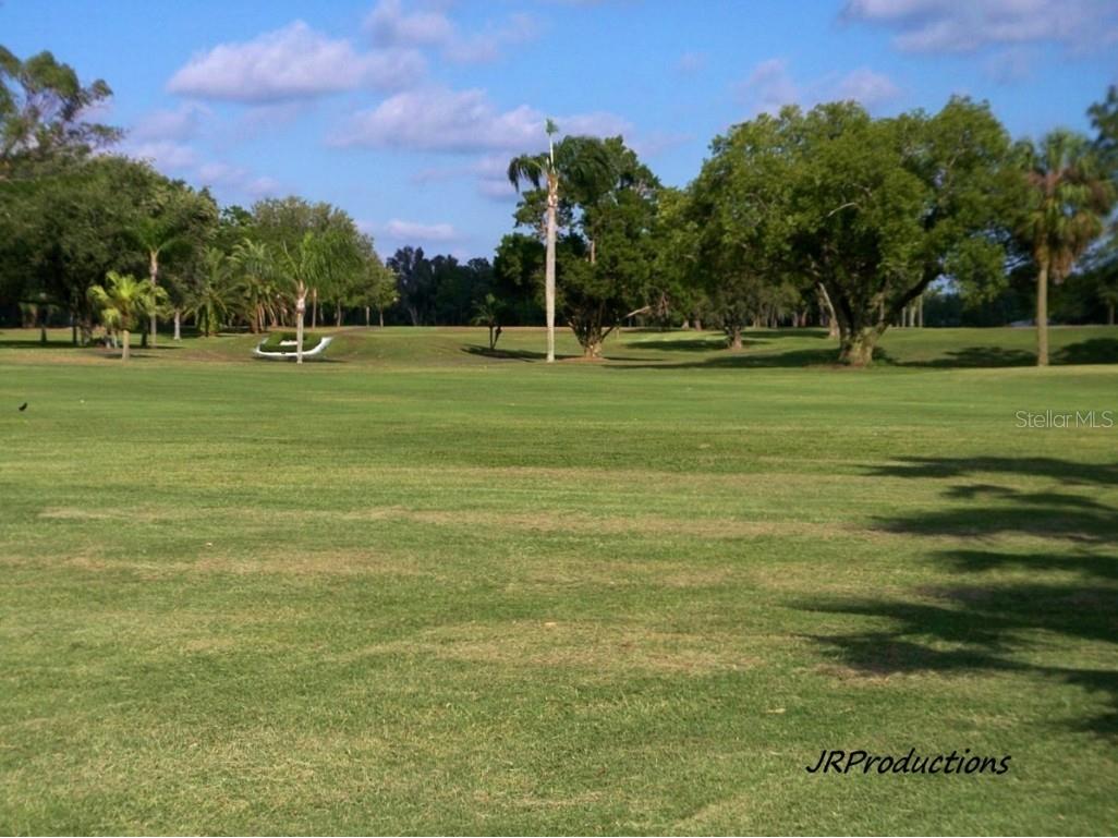 7 Elgin Place #202 Dunedin FL 34698 - ST. JOSEPH SOUND TB8451387 image59