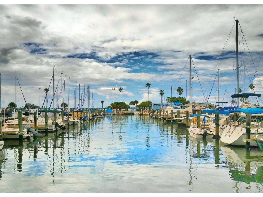 7 Elgin Place #202 Dunedin FL 34698 - ST. JOSEPH SOUND TB8451387 image60